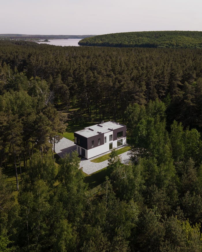 A Concrete house in the Middle of the Forest